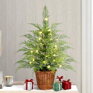 My Texas House 24" Pre-Lit Green Cypress Tree Warm White Twinkle LED Lights NWT